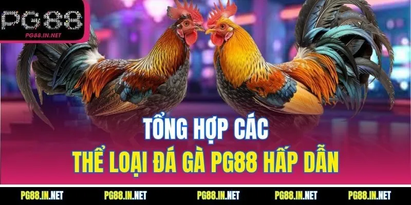 Tổng Hợp Các Thể Loại Đá Gà PG88 Hấp Dẫn