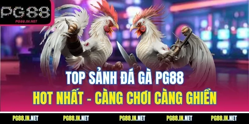 Top Sảnh Đá Gà PG88 Hot Nhất – Càng Chơi Càng Ghiền